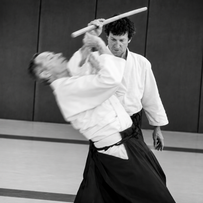Didier Mejean- Professeur aikido